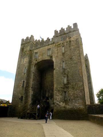 Bunratty Castle (2014)