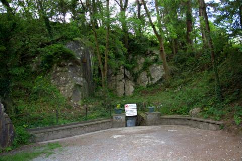 Mitchelstown Cave (2014)