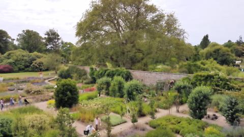 Botanischer Garten - Samares Manor (2017)