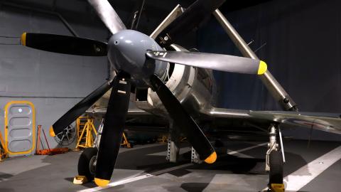 Fleet Air Arm Museum - Westland Wyvern (2025)