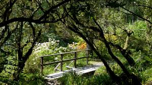 Crarae Woodland Garden