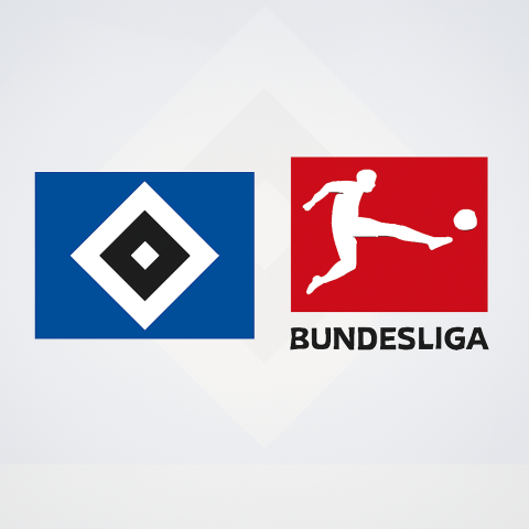 HSV 1. Bundesliga