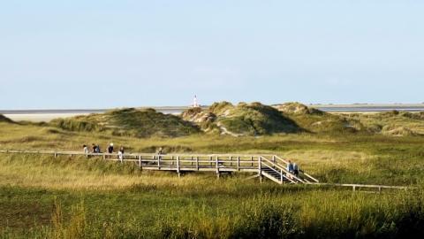 Nordstrand mit Blick auf Westerhever