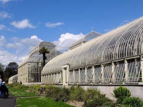 National Botanic Gardens of Ireland (2018)