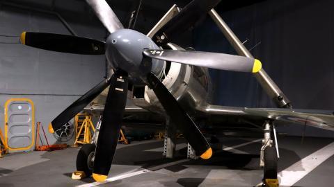 Fleet Air Arm Museum - Westland Wyvern (2025)
