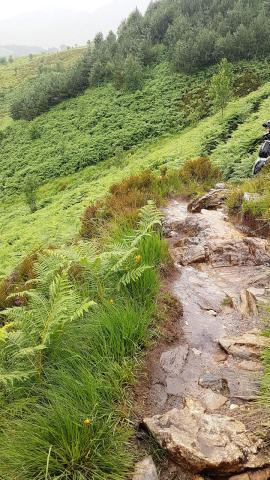 Glenfinnan Trail