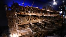 Mary Rose (2025)