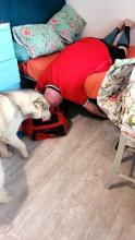 Snow - Unser spezieller Gast