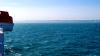 Dover (2025)