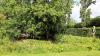 Sissinghurst Castle and Garden (2025)