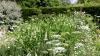 Sissinghurst Castle and Garden (2025)