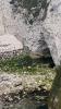 Old Harry Rocks (2025)