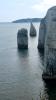 Old Harry Rocks (2025)