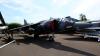 Tangmere - Hawker Siddeley Harrier (2025)