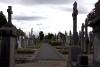 Glasnevin Cemetery (2014)