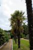 Malahide Gardens (2014)