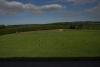 Newgrange (2014)