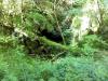 Marble Arc Caves (2014)
