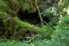 Marble Arc Caves (2014)
