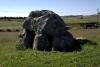 Carrowmore Gräberfeld (2014)