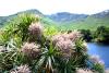 Kylemore Abbey (2014)