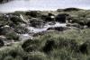 Irland (2014)