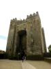 Bunratty Castle (2014)