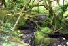 Irland (2014)