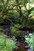 Irland (2014)
