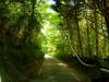 Irland (2014)
