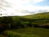 Irland (2014)