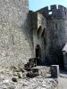 Cahir Castle (2014)