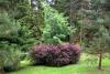 Powerscourt Gardens (2014)