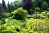 Powerscourt Gardens (2014)
