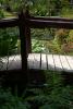 Powerscourt Gardens (2014)