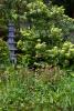 Powerscourt Gardens (2014)