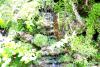 Powerscourt Gardens (2014)