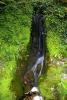 Powerscourt Gardens (2014)