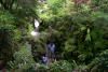 Powerscourt Gardens (2014)