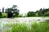 Powerscourt Gardens (2014)