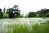 Powerscourt Gardens (2014)