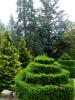 Powerscourt Gardens (2014)