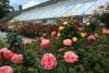 Powerscourt Gardens (2014)