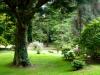 Powerscourt Gardens (2014)