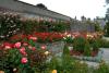 Powerscourt Gardens (2014)