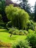 Powerscourt Gardens (2014)