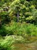 Powerscourt Gardens (2014)