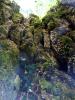 Powerscourt Gardens (2014)