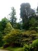 Powerscourt Gardens (2014)