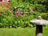 Powerscourt Gardens (2014)